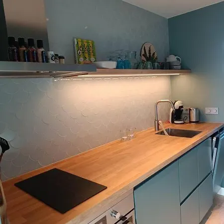 Apartment Luxurious Floor Near & Musea